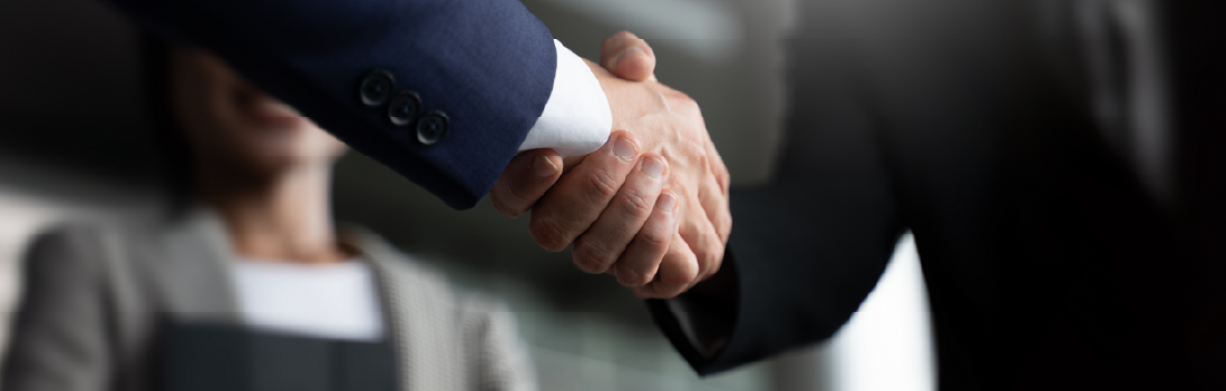 Cover of Optima Park